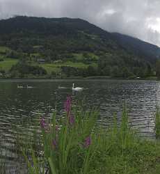 Feld Am See Breennsee Ufer Sommer Kaernten Fine Art Printer Fine Art Photography Galleries Sky - 003871 - 21-08-2009 - 3858x4186 Pixel Feld Am See Breennsee Ufer Sommer Kaernten Fine Art Printer Fine Art Photography Galleries Sky Fine Art Foto Fine Art Art Prints For Sale Stock Image Summer...