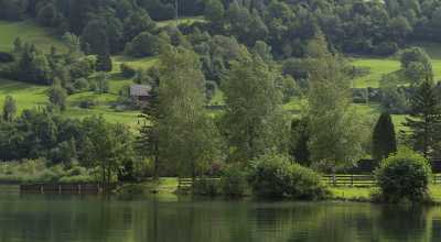 Feld Am See Breennsee Ufer Sommer Kaernten Stock Images Fine Art Photo Art Printing - 003883 - 21-08-2009 - 7610x4189 Pixel Feld Am See Breennsee Ufer Sommer Kaernten Stock Images Fine Art Photo Art Printing Fine Art Photography Prints Stock Photos Art Prints For Sale Fine Art...