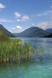 Neusach Weissensee Badesee Seeufer Sommer Kaernten Oesterreich Flower Stock Autumn Photography - 003995 - 22-08-2008 - 4125x6914 Pixel Neusach Weissensee Badesee Seeufer Sommer Kaernten Oesterreich Flower Stock Autumn Photography Landscape Modern Art Prints Fine Art Photography Gallery Pass Art...