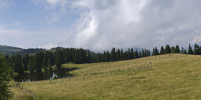 Verditz Schwarzsee Alm See Ufer Sommer Kaernten Oesterreich Fine Art Nature Photography Cloud - 003913 - 21-08-2009 - 10099x3988 Pixel Verditz Schwarzsee Alm See Ufer Sommer Kaernten Oesterreich Fine Art Nature Photography Cloud Stock Images Fine Art Photographers Fine Art Posters Park Color...
