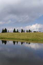 Verditz Schwarzsee Alm See Ufer Sommer Kaernten Oesterreich Nature Fine Art - 003919 - 21-08-2009 - 4005x6032 Pixel Verditz Schwarzsee Alm See Ufer Sommer Kaernten Oesterreich Nature Fine Art Art Photography For Sale Fine Art Photographer Fine Art Landscapes Fine Art...