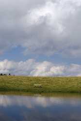 Verditz Schwarzsee Alm See Ufer Sommer Kaernten Oesterreich Country Road City Spring - 003920 - 21-08-2009 - 4129x7344 Pixel Verditz Schwarzsee Alm See Ufer Sommer Kaernten Oesterreich Country Road City Spring Photography Prints For Sale Fine Art Nature Photography Fine Art...