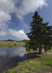 Verditz Schwarzsee Alm See Ufer Sommer Kaernten Oesterreich Stock Image Park Flower Fine Art Photo - 003924 - 21-08-2009 - 4422x6127 Pixel Verditz Schwarzsee Alm See Ufer Sommer Kaernten Oesterreich Stock Image Park Flower Fine Art Photo Sunshine Autumn Sale Sky Beach Sea Royalty Free Stock Photos...