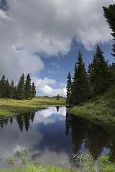 Verditz Schwarzsee Alm See Ufer Sommer Kaernten Oesterreich Fine Art Photographers - 003946 - 21-08-2009 - 4607x7989 Pixel Verditz Schwarzsee Alm See Ufer Sommer Kaernten Oesterreich Fine Art Photographers Landscape Photography Fine Art Prints For Sale Shore Fine Arts Island Coast...