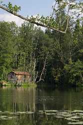 Viktring Teich Ufer Huette Seeufer Schilf Panorama Kaernten Fine Art Landscape Photography - 003864 - 20-08-2008 - 4055x6369 Pixel Viktring Teich Ufer Huette Seeufer Schilf Panorama Kaernten Fine Art Landscape Photography Modern Art Print Grass Fine Art Photography Prints Mountain Art...