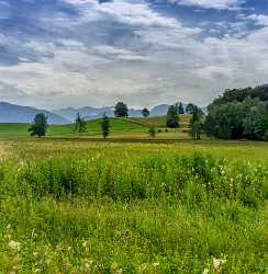 Strobl Upper Austria Oberoesterreich Farmland Grass Summer Panorama Lake Modern Art Prints - 024519 - 06-07-2015 - 7167x7338 Pixel Strobl Upper Austria Oberoesterreich Farmland Grass Summer Panorama Lake Modern Art Prints Fine Art Prints For Sale Famous Fine Art Photographers Fine Art...