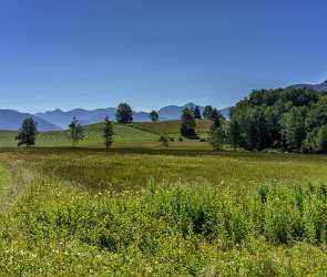 Strobl Upper Austria Oberoesterreich Farmland Grass Summer Panorama Stock Images Senic City Lake - 024667 - 11-07-2015 - 7165x6067 Pixel Strobl Upper Austria Oberoesterreich Farmland Grass Summer Panorama Stock Images Senic City Lake Shoreline Fine Arts Photography Stock Image Tree Fine Art...