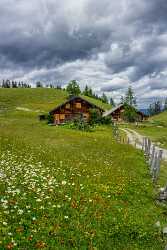 Postalm Austria Salzburg Salzkammergut Summer Panorama Barn Viewpoint Fine Art Nature Photography - 024594 - 09-07-2015 - 7171x11032 Pixel Postalm Austria Salzburg Salzkammergut Summer Panorama Barn Viewpoint Fine Art Nature Photography Fine Art Giclee Printing Fine Art Prints Royalty Free Stock...