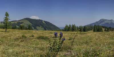 Sankt Gilgen Zwoelferhorn Alm Salzburg Salzkammergut Cloud Sky Fine Art Landscape Photography - 025609 - 04-08-2018 - 14931x6507 Pixel Sankt Gilgen Zwoelferhorn Alm Salzburg Salzkammergut Cloud Sky Fine Art Landscape Photography Photography Prints For Sale Leave Stock Image Senic Fine Art...