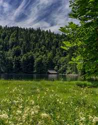 Toplitzsee Goessl Steiermark Styria Lake Forest Summer Panorama Photography - 024676 - 11-07-2015 - 7209x9200 Pixel Toplitzsee Goessl Steiermark Styria Lake Forest Summer Panorama Photography Photography Prints For Sale Sea Rain Coast Royalty Free Stock Images Fine Art...