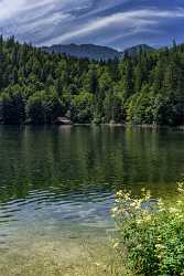 Toplitzsee Goessl Steiermark Styria Lake Forest Summer Panorama Shore Fine Art Foto Beach Outlook - 024683 - 11-07-2015 - 7183x11794 Pixel Toplitzsee Goessl Steiermark Styria Lake Forest Summer Panorama Shore Fine Art Foto Beach Outlook Animal Grass Photography Landscape Hi Resolution Leave Prints...