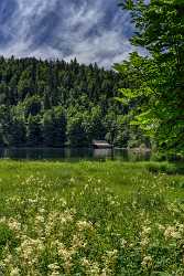 Toplitzsee Goessl Steiermark Styria Lake Forest Summer Panorama Stock Pictures Park - 024688 - 11-07-2015 - 7046x10992 Pixel Toplitzsee Goessl Steiermark Styria Lake Forest Summer Panorama Stock Pictures Park Fine Art Landscape Rock Coast Autumn Fine Art Printing Fine Art Prints...