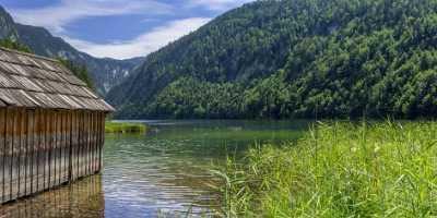 Toplitzsee Goessl Steiermark Styria Lake Forest Summer Panorama Rain Fine Art Photography Gallery - 024690 - 11-07-2015 - 14439x7104 Pixel Toplitzsee Goessl Steiermark Styria Lake Forest Summer Panorama Rain Fine Art Photography Gallery Grass Images Sea Creek Nature Fine Art Printing Fine Art...