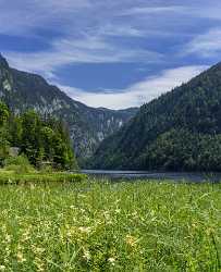 Toplitzsee Goessl Steiermark Styria Lake Forest Summer Panorama Nature Sunshine - 024691 - 11-07-2015 - 7123x8754 Pixel Toplitzsee Goessl Steiermark Styria Lake Forest Summer Panorama Nature Sunshine Photography Prints For Sale Spring Fine Art Landscape Fog Fine Art Printer Fine...