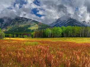 Bow Valley Parkway