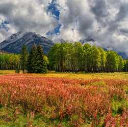 Bow Valley Parkway Bannf Alberta Canada Panoramic Landscape Modern Art Print Stock Image - 017388 - 04-09-2015 - 7540x7515 Pixel Bow Valley Parkway Bannf Alberta Canada Panoramic Landscape Modern Art Print Stock Image Fine Art America Fog River Beach Lake Snow City Creek Autumn Fine Art...