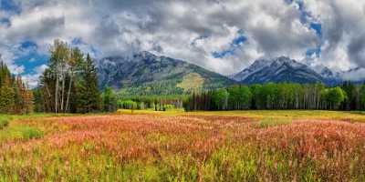 Bow Valley Parkway Bannf Alberta Canada Panoramic Landscape Fine Art Photography Gallery Winter - 017389 - 04-09-2015 - 16194x7870 Pixel Bow Valley Parkway Bannf Alberta Canada Panoramic Landscape Fine Art Photography Gallery Winter Stock Photos Barn Rain Forest Famous Fine Art Photographers Fine...