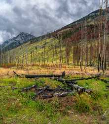 Bow Valley Parkway Bannf Alberta Canada Panoramic Landscape Photo Park Stock Pictures Shoreline - 017507 - 04-09-2015 - 7485x8448 Pixel Bow Valley Parkway Bannf Alberta Canada Panoramic Landscape Photo Park Stock Pictures Shoreline Prints Barn Fine Art America Color Modern Wall Art Landscape...