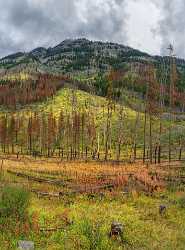 Bow Valley Parkway Bannf Alberta Canada Panoramic Landscape Fine Art Photography Rain Sky - 017508 - 04-09-2015 - 6910x9345 Pixel Bow Valley Parkway Bannf Alberta Canada Panoramic Landscape Fine Art Photography Rain Sky Fine Art Foto Stock Pictures Art Printing Fine Art Photo Winter Barn...