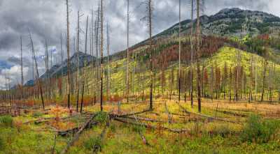 Bow Valley Parkway Bannf Alberta Canada Panoramic Landscape Lake Rock Photo Fine Art Art Printing - 017509 - 04-09-2015 - 14148x7815 Pixel Bow Valley Parkway Bannf Alberta Canada Panoramic Landscape Lake Rock Photo Fine Art Art Printing Prints For Sale Modern Art Prints Art Prints For Sale Winter...