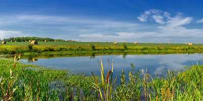 Farmland Mayerthope Alberta Canada Panoramic Landscape Photography Scenic - 017159 - 28-08-2015 - 19175x7534 Pixel Farmland Mayerthope Alberta Canada Panoramic Landscape Photography Scenic Photography Prints For Sale Stock Pictures Beach Fine Arts Sunshine Fine Art America...