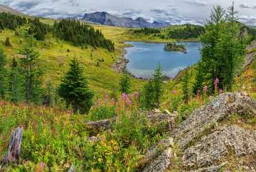 Rock Isle Lake Banff British Columbia Canada Panoramic Modern Art Print Fine Art Photography Park - 016841 - 17-08-2015 - 12545x8435 Pixel Rock Isle Lake Banff British Columbia Canada Panoramic Modern Art Print Fine Art Photography Park City Sale Stock Images Fine Art Printer Fine Art Printing Town...