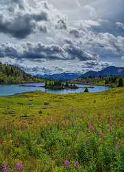 Rock Isle Lake Banff British Columbia Canada Panoramic Mountain Pass Creek Barn - 016843 - 17-08-2015 - 7516x10389 Pixel Rock Isle Lake Banff British Columbia Canada Panoramic Mountain Pass Creek Barn Art Photography For Sale Fine Art Photography Gallery Photo View Point Tree...