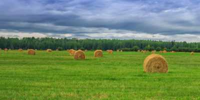 Farmland Dayton Valley Alberta Canada Panoramic Landscape Photography Fine Art Photographer - 017157 - 28-08-2015 - 17223x7677 Pixel Farmland Dayton Valley Alberta Canada Panoramic Landscape Photography Fine Art Photographer Fine Arts Famous Fine Art Photographers Art Prints For Sale Sunshine...