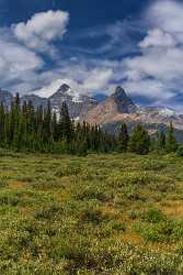 Icefields Parkway Jasper Alberta Canada Panoramic Landscape Photography - 017068 - 23-08-2015 - 7760x11689 Pixel Icefields Parkway Jasper Alberta Canada Panoramic Landscape Photography Fine Art Photography Gallery Stock Image Autumn Forest Prints For Sale Fine Art Printing...