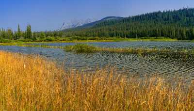 Athabasca River Jasper Alberta Canada Panoramic Landscape Photography Fine Art Photos - 017139 - 26-08-2015 - 10339x5920 Pixel Athabasca River Jasper Alberta Canada Panoramic Landscape Photography Fine Art Photos Fine Art Printing Fine Art Landscape Pass Art Photography For Sale Fine...