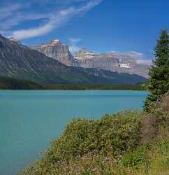 Waterfowl Lake Jasper Alberta Canada Panoramic Landscape Photography Art Photography For Sale - 017075 - 23-08-2015 - 7716x7960 Pixel Waterfowl Lake Jasper Alberta Canada Panoramic Landscape Photography Art Photography For Sale Stock Image Hi Resolution Flower Order Fine Art America Prints For...