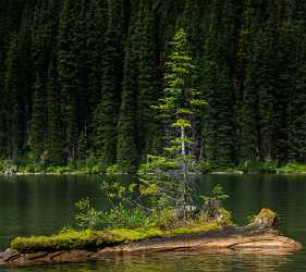 Rawson Lake Kananaskis Canmore Alberta Canada Panoramic Landscape Order Senic Fine Art Printing - 017179 - 29-08-2015 - 7791x6933 Pixel Rawson Lake Kananaskis Canmore Alberta Canada Panoramic Landscape Order Senic Fine Art Printing Fine Art Photography Prints Tree Fine Art Photos Spring Fine Art...