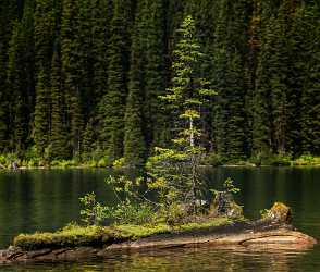 Rawson Lake Kananaskis Canmore Alberta Canada Panoramic Landscape Images Landscape Photography - 017180 - 29-08-2015 - 7828x6650 Pixel Rawson Lake Kananaskis Canmore Alberta Canada Panoramic Landscape Images Landscape Photography Fine Art Fotografie Fine Art Landscapes Nature Stock Image Coast...