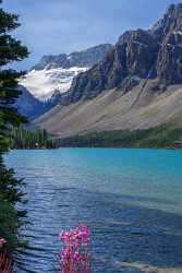 Bow Lake Jasper Alberta Canada Panoramic Landscape Photography Fine Art Photography Galleries - 017045 - 23-08-2015 - 5216x9868 Pixel Bow Lake Jasper Alberta Canada Panoramic Landscape Photography Fine Art Photography Galleries Images Fine Art Print Grass Ice Fine Art Foto Fine Art Photography...