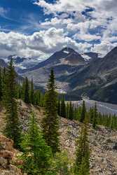 Peyto Lake Louise Alberta Canada Panoramic Landscape Photography Photo Fine Art Pictures Sky Sea - 016910 - 18-08-2015 - 7826x13224 Pixel Peyto Lake Louise Alberta Canada Panoramic Landscape Photography Photo Fine Art Pictures Sky Sea Color Country Road Spring Fine Art Photography Prints For Sale...