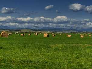 Farmland