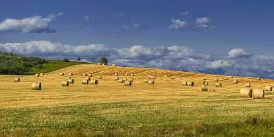 Farmland Longview Alberta Canada Panoramic Landscape Photography Scenic Beach Stock Photos Sale - 017202 - 30-08-2015 - 16238x5794 Pixel Farmland Longview Alberta Canada Panoramic Landscape Photography Scenic Beach Stock Photos Sale Fine Art Photography Prints Fine Art Photographer Prints For...