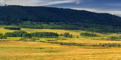 Farmland Longview Alberta Canada Panoramic Landscape Photography Scenic Cloud - 017207 - 30-08-2015 - 28179x7728 Pixel Farmland Longview Alberta Canada Panoramic Landscape Photography Scenic Cloud Fine Art Giclee Printing Fine Art Foto Sky Grass Fine Art Pictures Photo Stock...