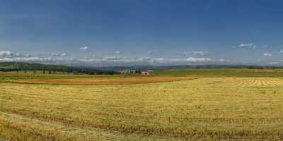 Farmland Millarville Alberta Canada Panoramic Landscape Photography Scenic Country Road - 017208 - 30-08-2015 - 16293x7271 Pixel Farmland Millarville Alberta Canada Panoramic Landscape Photography Scenic Country Road Fine Art Foto Animal Ice Modern Art Print Nature Fine Art Printer...