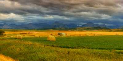 Farmland Pincher Creek Alberta Canada Panoramic Landscape Photography Leave Image Stock Fine Arts - 017236 - 31-08-2015 - 29875x7715 Pixel Farmland Pincher Creek Alberta Canada Panoramic Landscape Photography Leave Image Stock Fine Arts Fine Art Pictures Fine Art Fine Art America Animal Coast...