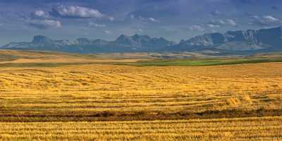 Farmland Pincher Creek Alberta Canada Panoramic Landscape Photography Fine Art America - 017417 - 01-09-2015 - 18345x5085 Pixel Farmland Pincher Creek Alberta Canada Panoramic Landscape Photography Fine Art America Fine Art Nature Photography Sea Fine Art Photography Galleries Grass...
