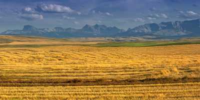 Farmland Pincher Creek Alberta Canada Panoramic Landscape Photography Fine Art America - 017417 - 01-09-2015 - 18345x5085 Pixel Farmland Pincher Creek Alberta Canada Panoramic Landscape Photography Fine Art America Fine Art Nature Photography Sea Fine Art Photography Galleries Grass...