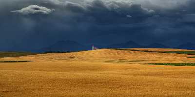 Farmland Pincher Creek Alberta Canada Panoramic Landscape Photography Winter Fog Spring Stock Image - 017472 - 02-09-2015 - 11983x4676 Pixel Farmland Pincher Creek Alberta Canada Panoramic Landscape Photography Winter Fog Spring Stock Image Fine Art Pictures Western Art Prints For Sale Fine Art...