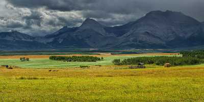 Farmland Pincher Creek Alberta Canada Panoramic Landscape Photography Sunshine Photo - 017476 - 02-09-2015 - 19693x7818 Pixel Farmland Pincher Creek Alberta Canada Panoramic Landscape Photography Sunshine Photo Royalty Free Stock Photos Stock Photos Fine Art Hi Resolution Nature Fine...