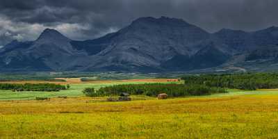 Farmland Pincher Creek Alberta Canada Panoramic Landscape Photography Animal Order - 017477 - 02-09-2015 - 27121x7328 Pixel Farmland Pincher Creek Alberta Canada Panoramic Landscape Photography Animal Order Royalty Free Stock Photos Photography Prints For Sale Fine Art Photography...