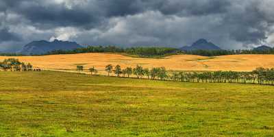 Farmland Pincher Creek Alberta Canada Panoramic Landscape Photography Photo - 017478 - 02-09-2015 - 17814x5180 Pixel Farmland Pincher Creek Alberta Canada Panoramic Landscape Photography Photo Fine Art Photography Gallery Order Nature Fine Art Nature Photography Sale Fine Art...