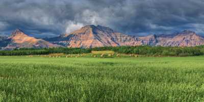 Waterton Lake Alberta Canada Panoramic Landscape Photography Scenic Art Prints Fine Art Posters - 017492 - 02-09-2015 - 18566x7797 Pixel Waterton Lake Alberta Canada Panoramic Landscape Photography Scenic Art Prints Fine Art Posters Sunshine Fine Art Leave Nature Fine Art Photographer Tree Stock...