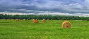 Dayton Valley Dayton Valley - Panoramic - Landscape - Photography - Photo - Print - Nature - Stock Photos - Images - Fine Art Prints -...