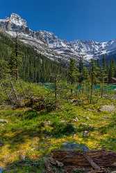 Lake Ohara Field British Columbia Canada Panoramic Landscape Modern Art Prints Creek Snow - 017022 - 22-08-2015 - 7235x11279 Pixel Lake Ohara Field British Columbia Canada Panoramic Landscape Modern Art Prints Creek Snow Prints For Sale Fine Art Prints Coast Summer Sky Shoreline City Pass...