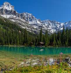 Lake Ohara Field British Columbia Canada Panoramic Landscape Stock Photos Rock View Point - 017024 - 22-08-2015 - 7343x7547 Pixel Lake Ohara Field British Columbia Canada Panoramic Landscape Stock Photos Rock View Point Hi Resolution Photo Fine Art Stock Pictures Nature Fine Art Fotografie...